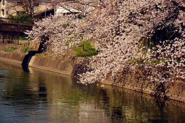 Art Stay In Tofukuji Κιότο Εξωτερικό φωτογραφία