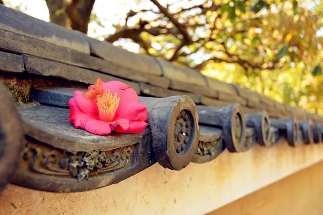Art Stay In Tofukuji Κιότο Εξωτερικό φωτογραφία